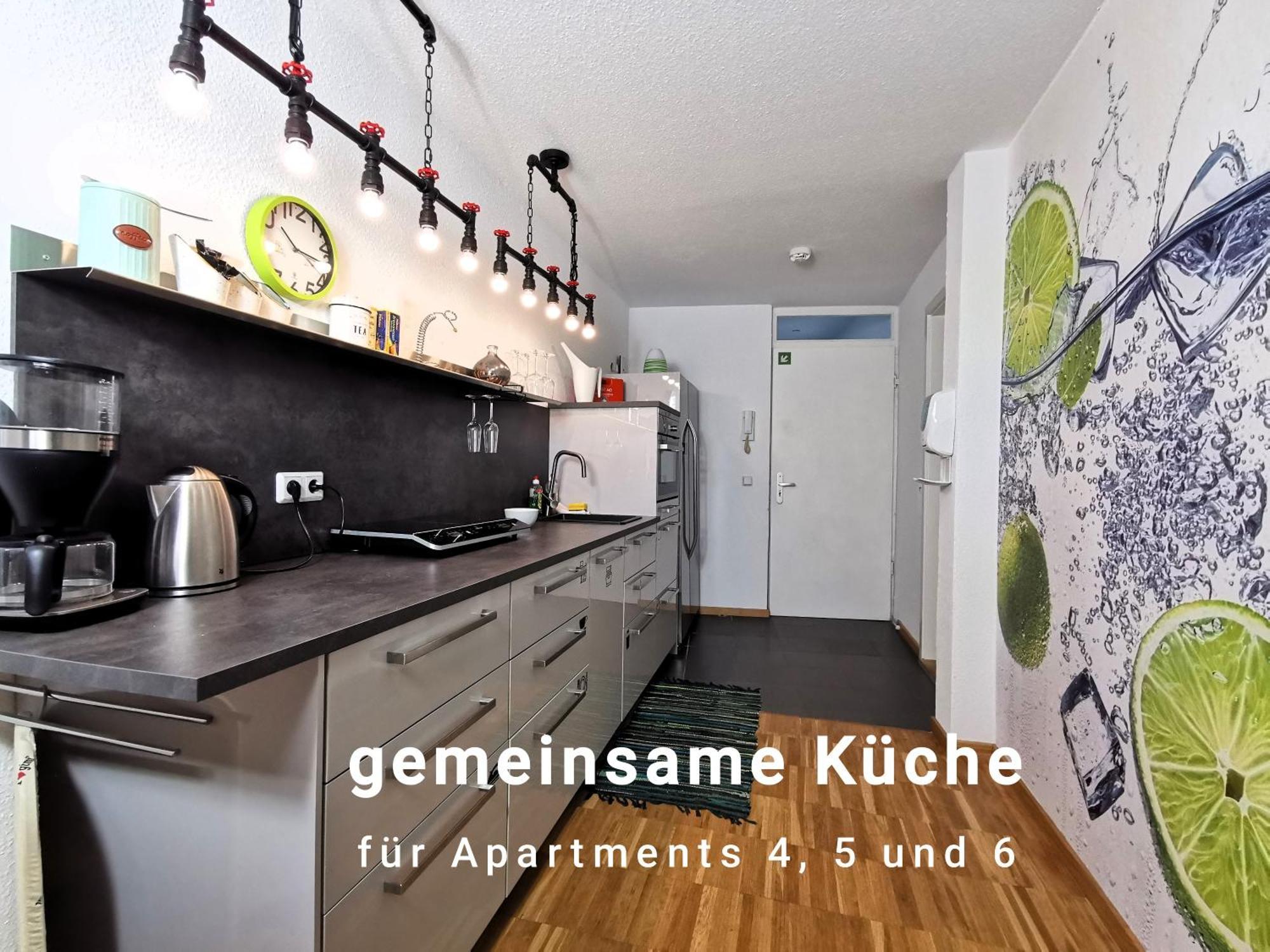 Exklusives Apartment im Zentrum von Erfurt - Meyfartstraße 12 - 6 Exterior foto